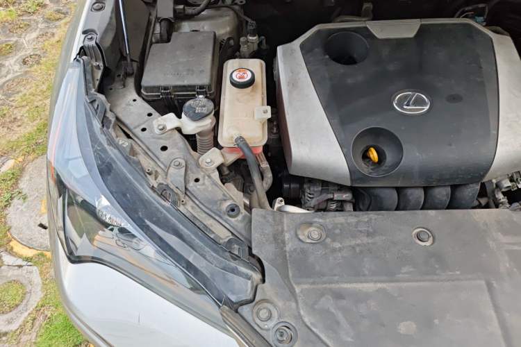 Used Lexus NX 2020 200 Front-Wheel Drive Freeline Edition China VI Standard Engine Bay Right
