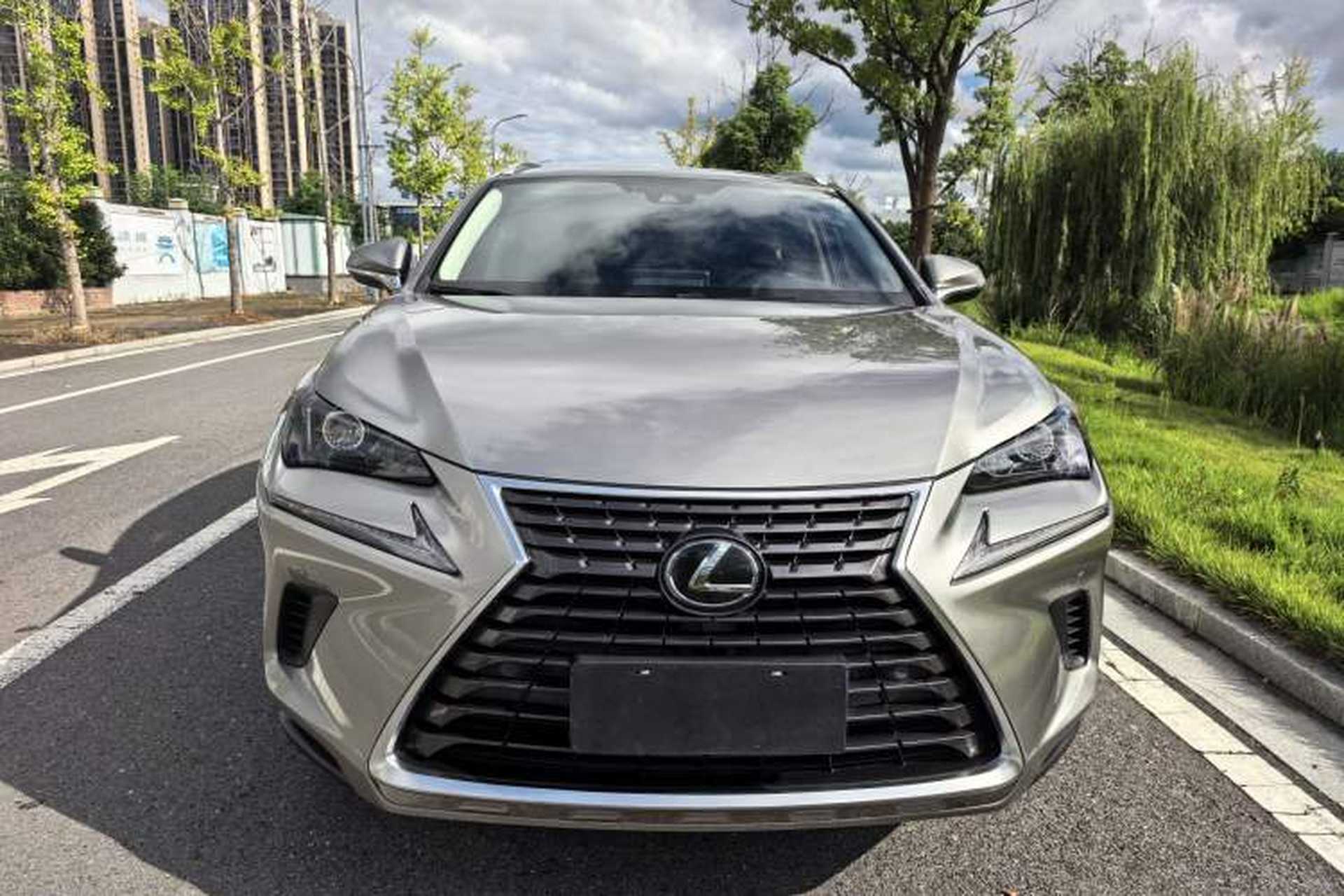 Used Lexus NX 2020 200 All-Wheel Drive Fēngshàng Version China VI Standard Exterior 1