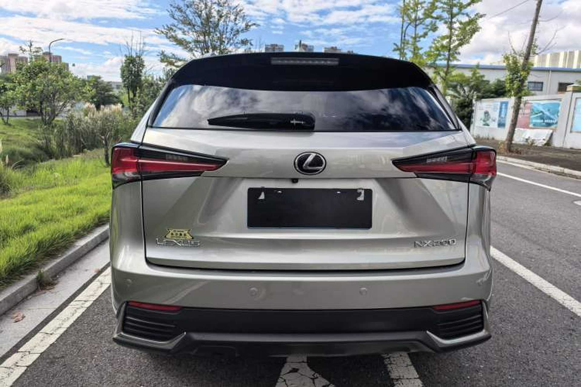 Used Lexus NX 2020 200 All-Wheel Drive Fēngshàng Version China VI Standard Exterior 4