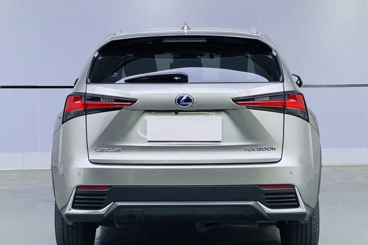 Used Lexus NX 2020 300h Front-Drive FENGSHANG Version China VI Standard Exterior 5