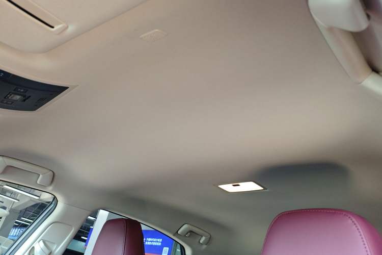 Used Lexus NX 2020 200 Front-Wheel Drive Freeline Edition China VI Standard Headliner
