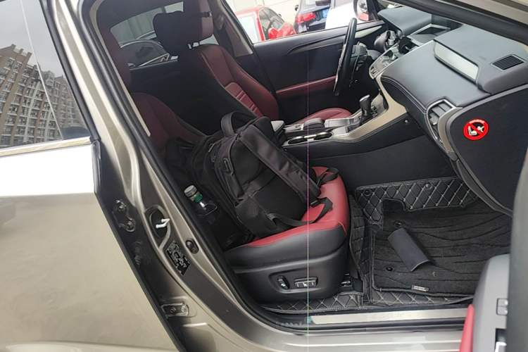 Used Lexus NX 2020 200 Front-Wheel Drive Vmotion Edition China VI Standard Right Front Seat