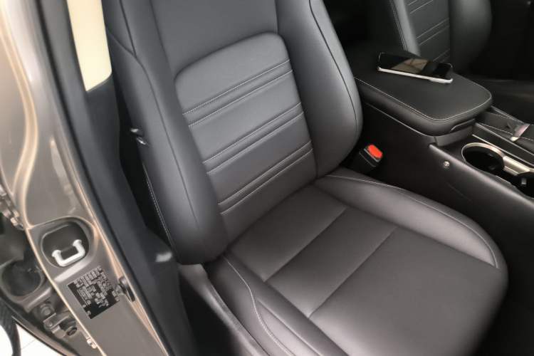 Used Lexus NX 2020 200 Front-Wheel Drive Vmotion Edition China VI Standard Right Front Seat