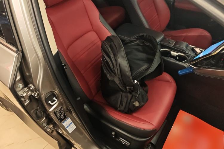 Used Lexus NX 2020 200 All-Wheel Drive Fēngshàng Version China VI Standard Right Front Seat