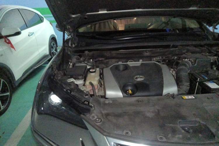 Used Lexus NX 2020 200 Front-Wheel Drive Freeline Edition China VI Standard Engine Bay Right