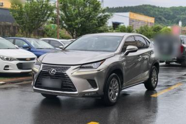 Used Lexus NX 2020 200 Front-Wheel Drive Vmotion Edition China VI Standard