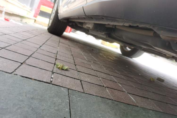 Used Lexus NX 2020 200 Front-Wheel Drive Freeline Edition China VI Standard Chassis Rear Left