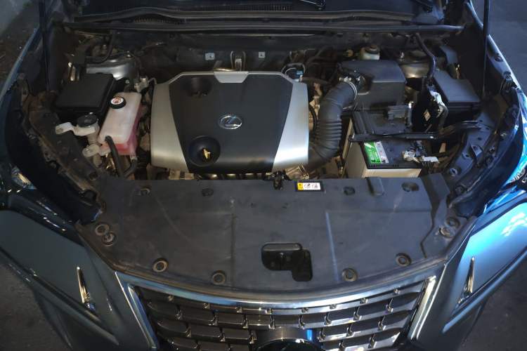 Used Lexus NX 2020 200 All-Wheel Drive Fēngshàng Version China VI Standard Engine Bay