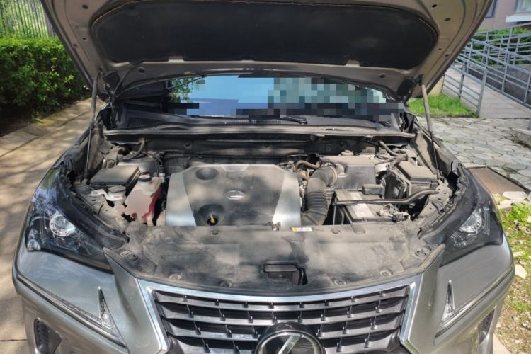 Used Lexus NX 2020 200 All-Wheel Drive Fēngshàng Version China VI Standard Engine Bay
