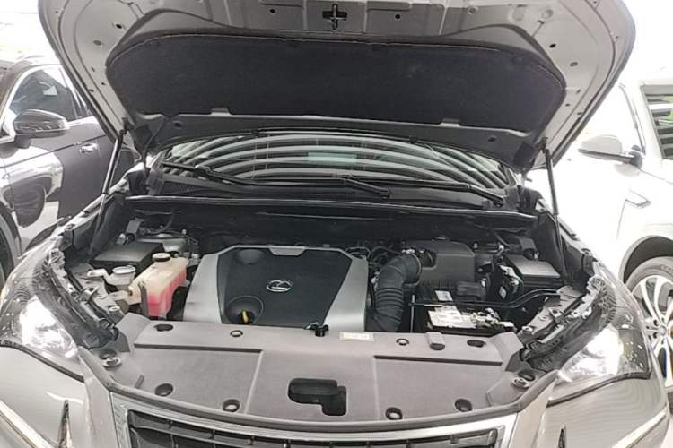 Used Lexus NX 2020 200 Front-Wheel Drive Vmotion Edition China VI Standard Engine Bay
