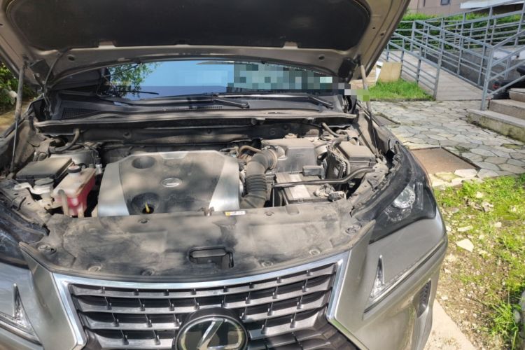 Used Lexus NX 2020 200 All-Wheel Drive Fēngshàng Version China VI Standard Engine Bay Left