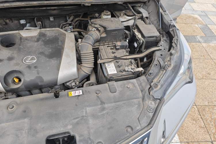 Used Lexus NX 2020 200 Front-Wheel Drive Freeline Edition China VI Standard Engine Bay Left