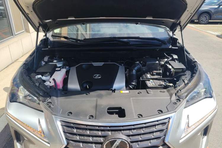 Used Lexus NX 2020 200 All-Wheel Drive Fēngshàng Version China VI Standard Engine Bay