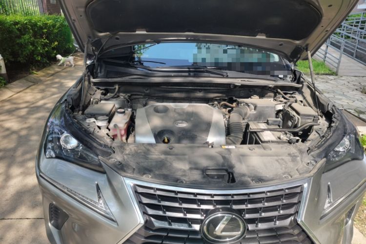 Used Lexus NX 2020 200 All-Wheel Drive Fēngshàng Version China VI Standard Engine Bay Right
