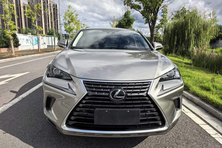 Used Lexus NX 2020 200 All-Wheel Drive Fēngshàng Version China VI Standard Exterior 1