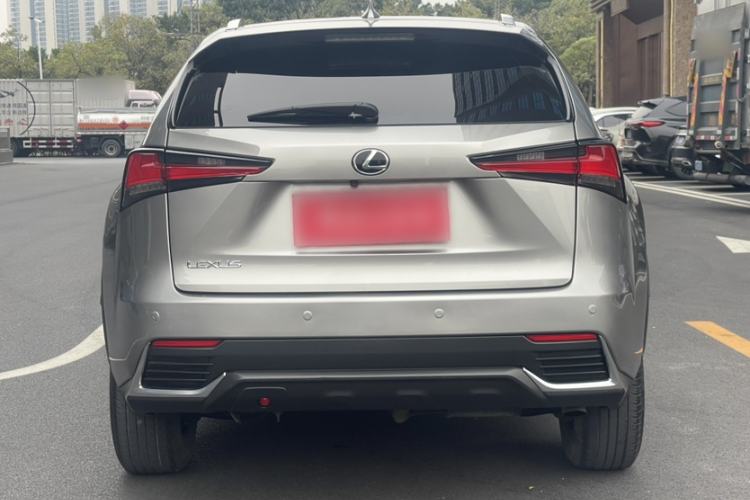 Used Lexus NX 2020 200 All-Wheel Drive Fēngshàng Version China VI Standard Exterior 3