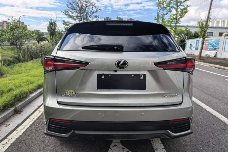 Used Lexus NX 2020 200 All-Wheel Drive Fēngshàng Version China VI Standard Exterior 4