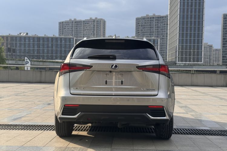 Used Lexus NX 2020 300h Front-Drive FENGSHANG Version China VI Standard Exterior 4