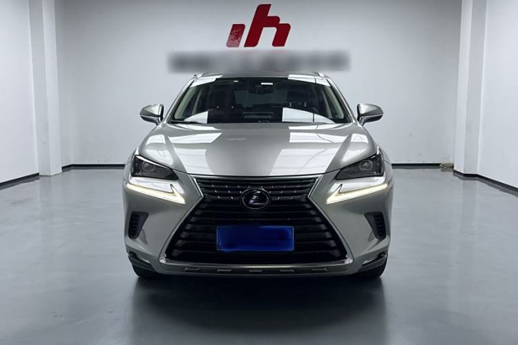 Used Lexus NX 2020 200 All-Wheel Drive Fēngshàng Version China VI Standard Exterior 5