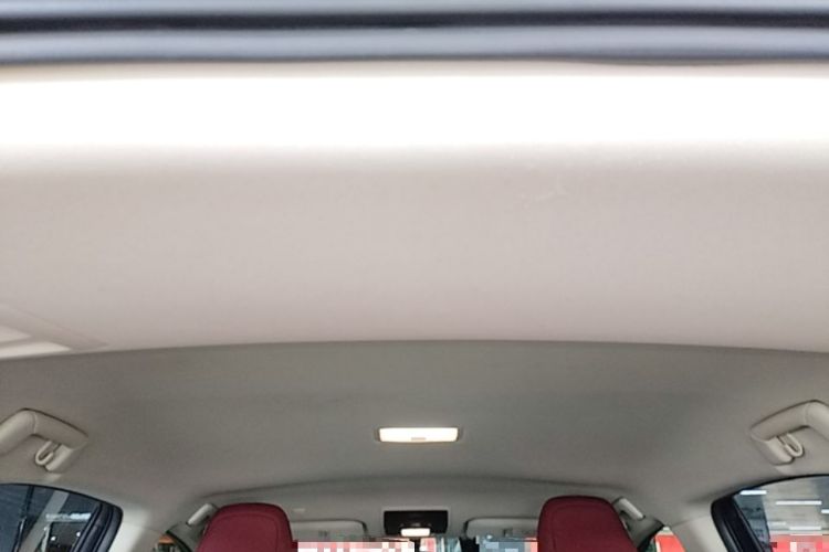 Used Lexus NX 2020 200 Front-Wheel Drive Vmotion Edition China VI Standard Headliner