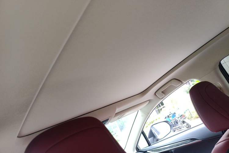 Used Lexus NX 2020 300h All-Wheel Drive FENGZHI Version China VI Standard Headliner
