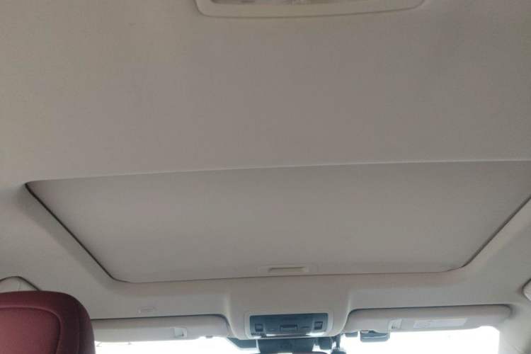Used Lexus NX 2020 300h Front-Drive FENGSHANG Version China V Standard Headliner