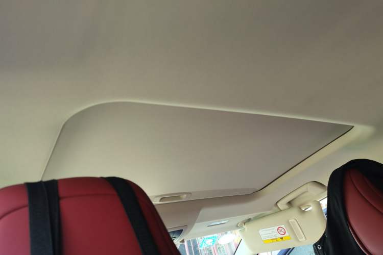 Used Lexus NX 2020 300h Front-Drive FENGSHANG Version China VI Standard Headliner