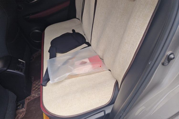 Used Lexus NX 2020 300h Front-Drive FENGSHANG Version China VI Standard Left Rear Seat