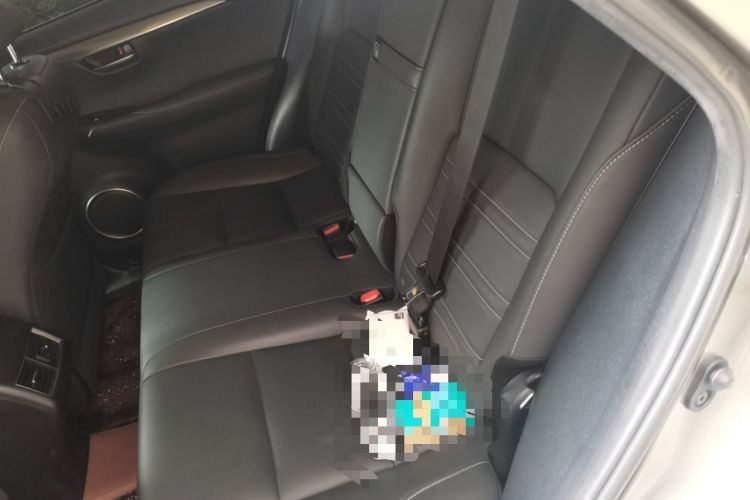 Used Lexus NX 2020 200 All-Wheel Drive Fēngshàng Version China VI Standard Left Rear Seat