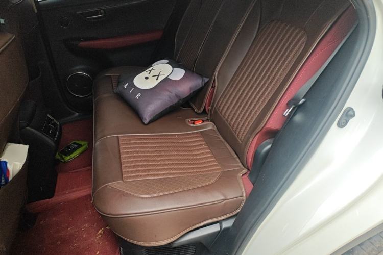 Used Lexus NX 2020 200 Front-Wheel Drive Freeline Edition China VI Standard Left Rear Seat