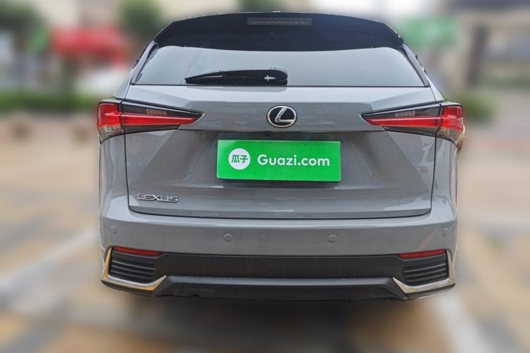 Used Lexus NX 2020 200 Front-Wheel Drive Freeline Edition China VI Standard Rear