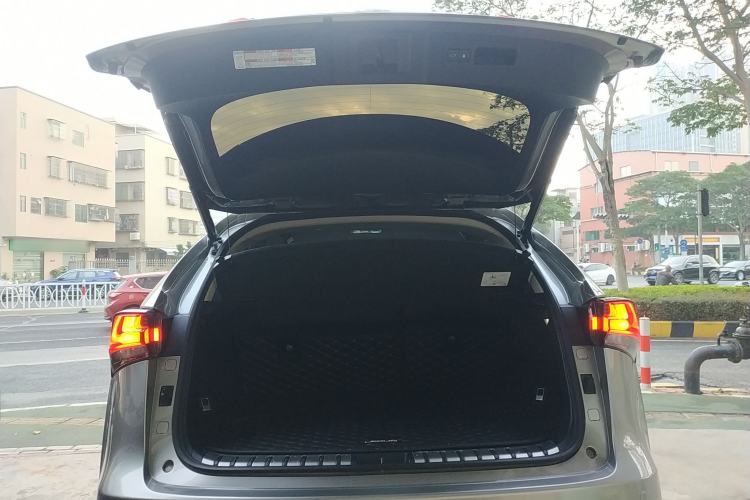 Used Lexus NX 2020 200 All-Wheel Drive Fēngshàng Version China VI Standard Trunk