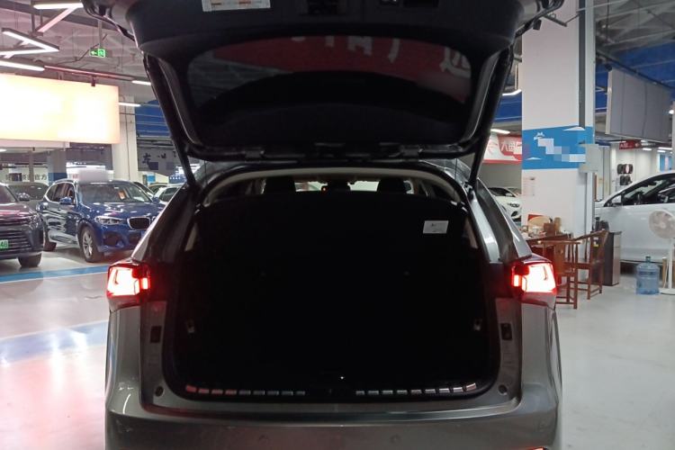 Used Lexus NX 2020 200 All-Wheel Drive Fēngshàng Version China VI Standard Trunk