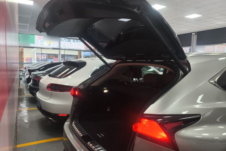 Used Lexus NX 2020 200 All-Wheel Drive Fēngshàng Version China VI Standard Trunk