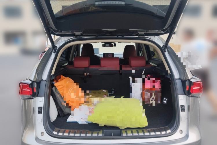 Used Lexus NX 2020 300h Front-Drive FENGSHANG Version China V Standard Trunk