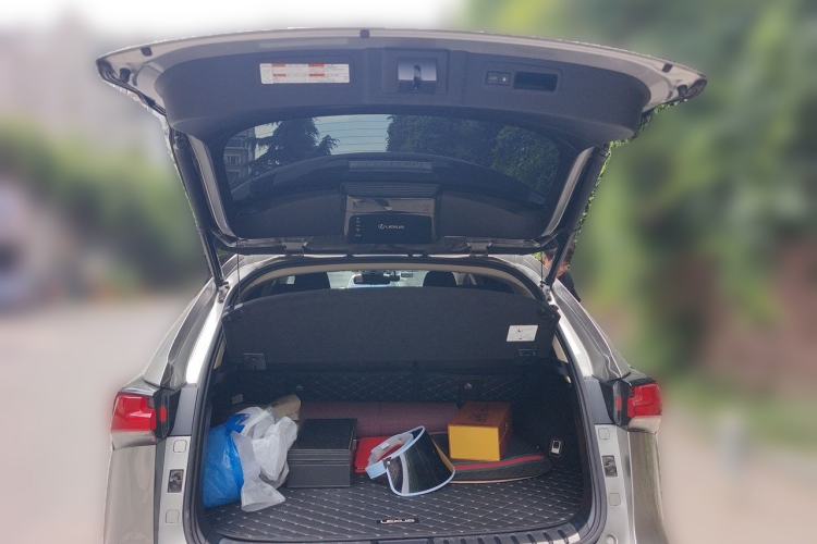 Used Lexus NX 2020 300h Front-Drive FENGSHANG Version China VI Standard Trunk