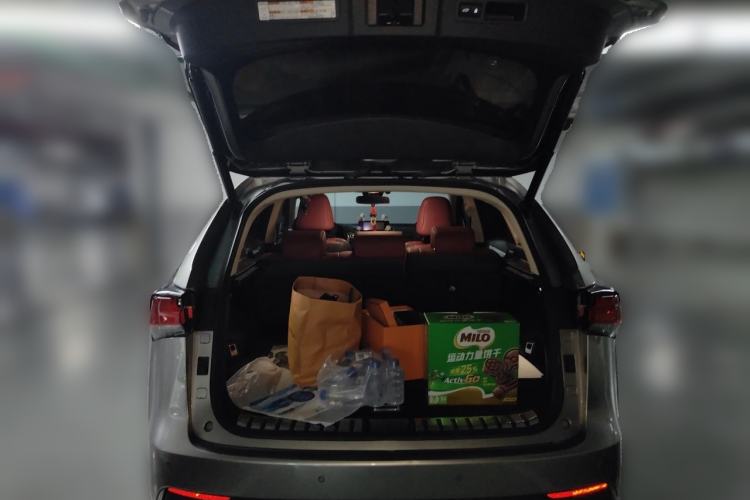 Used Lexus NX 2020 300h Front-Drive FENGSHANG Version China VI Standard Trunk