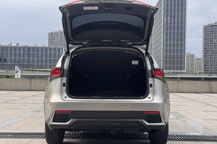 Used Lexus NX 2020 300h Front-Drive FENGSHANG Version China VI Standard Trunk