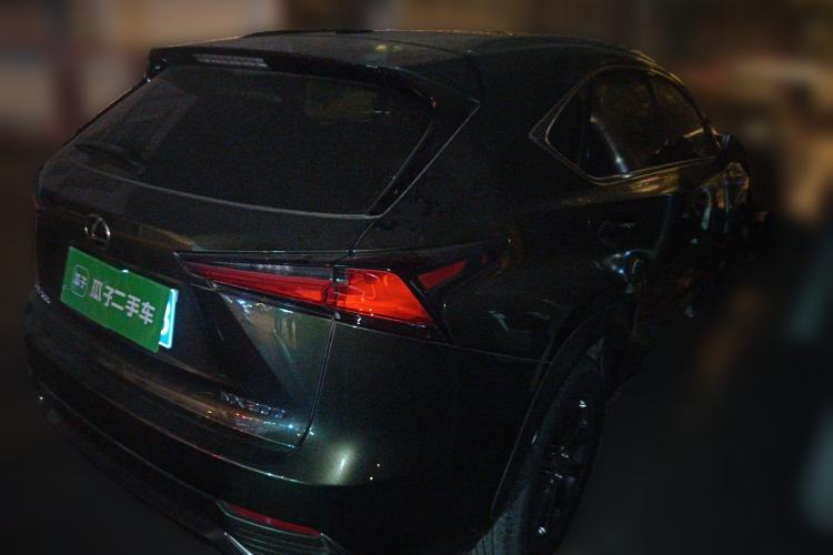 Used Lexus NX 2020 200 All-Wheel Drive Fēngshàng Version China VI Standard Exterior 5