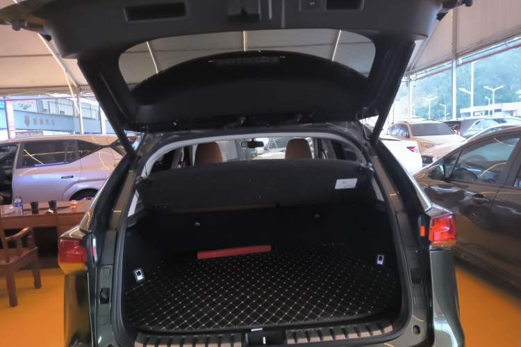 Used Lexus NX 2020 200 Front-Wheel Drive Freeline Edition China VI Standard Trunk