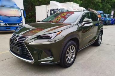 Used Lexus NX 2020 200 Front-Wheel Drive Freeline Edition China VI Standard
