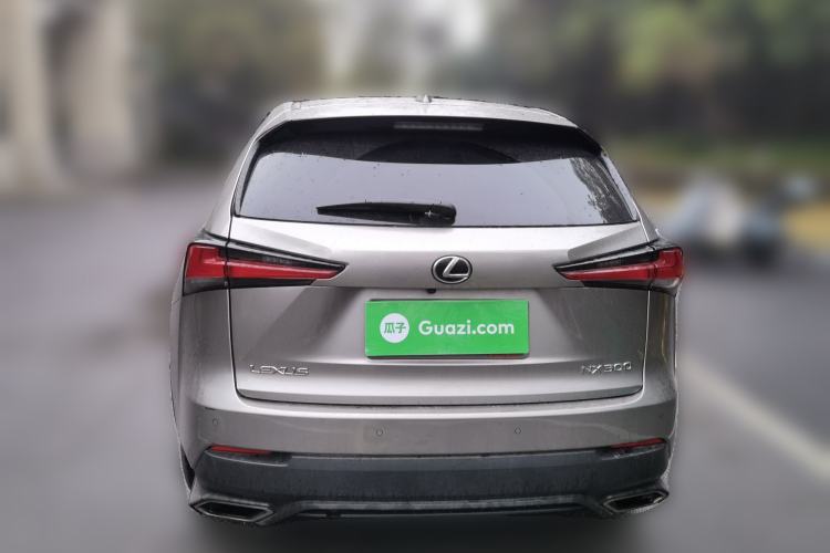 Used Lexus NX 2020 300 Front-Wheel-Drive Frenza Edition China V Standard Rear