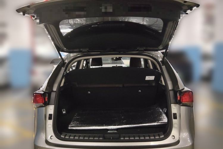 Used Lexus NX 2020 200 Front-Wheel Drive Freeline Edition China VI Standard Trunk