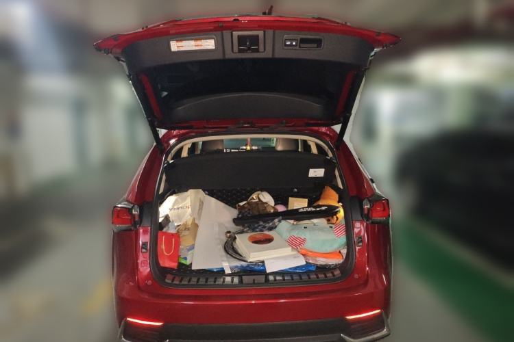 Used Lexus NX 2020 300h Front-Drive FENGSHANG Version China VI Standard Trunk