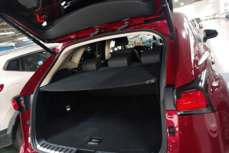 Used Lexus NX 2020 200 All-Wheel Drive Fēngshàng Version China VI Standard Trunk