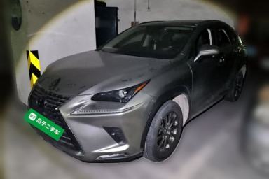 Used Lexus NX 2020 300h Front-Drive FENGSHANG Version China VI Standard