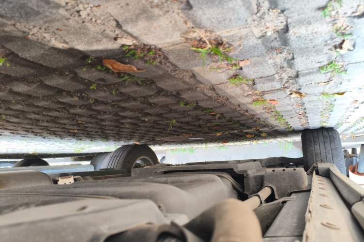 Used Lexus NX 2020 200 Front-Wheel Drive Freeline Edition China VI Standard Chassis Rear Left