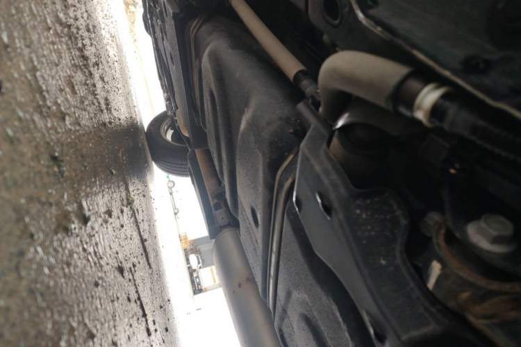 Used Lexus NX 2020 200 Front-Wheel Drive Freeline Edition China VI Standard Chassis Rear Left