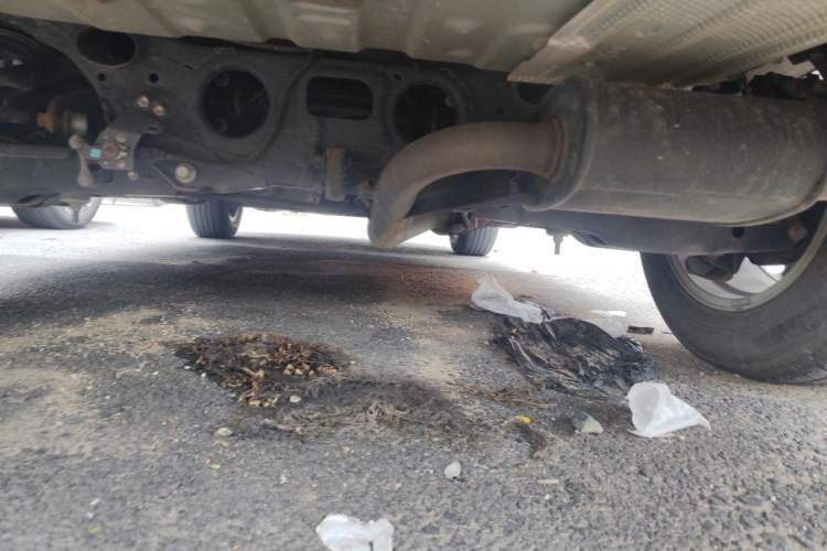 Used Lexus NX 2020 200 Front-Wheel Drive Freeline Edition China VI Standard Chassis Rear