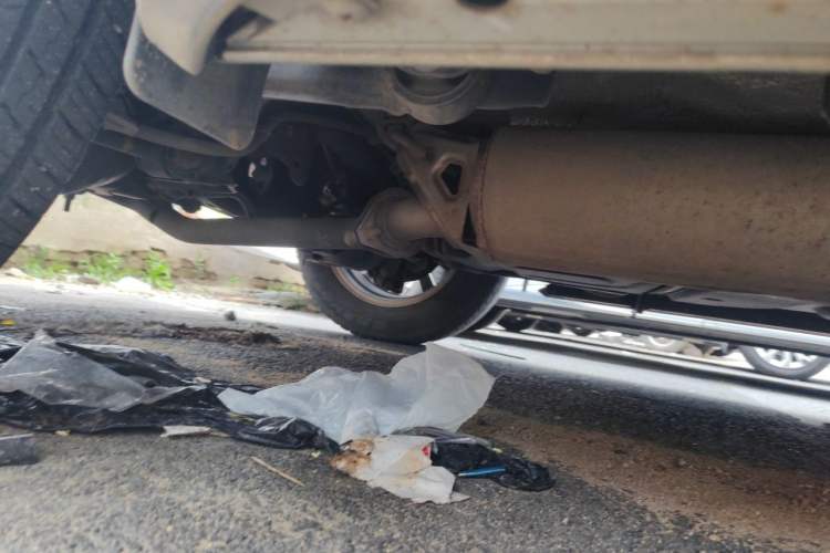 Used Lexus NX 2020 200 Front-Wheel Drive Freeline Edition China VI Standard Chassis Rear Right